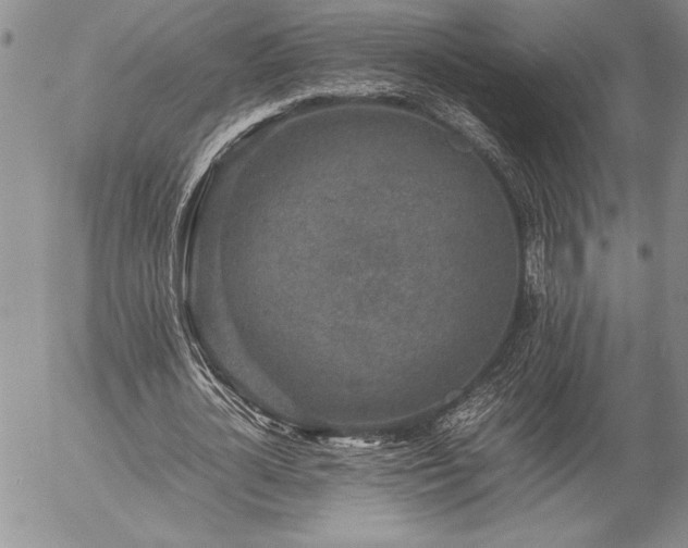 X0000057080724200509091247