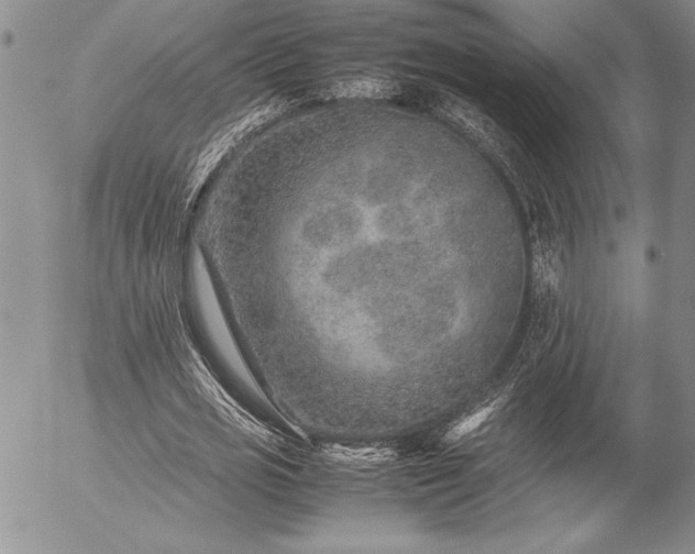 X0000057080725200509091247