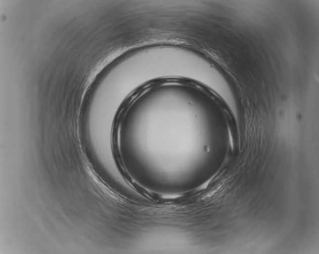 X0000057080726200509091247