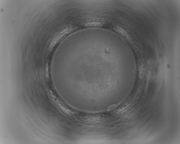 X0000057080729200509091247