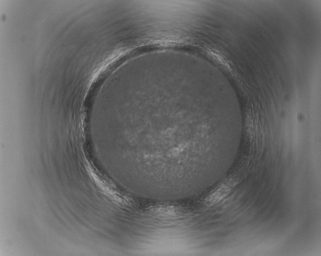 X0000057080730200509091247