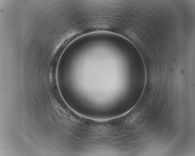 X0000057080731200509091247