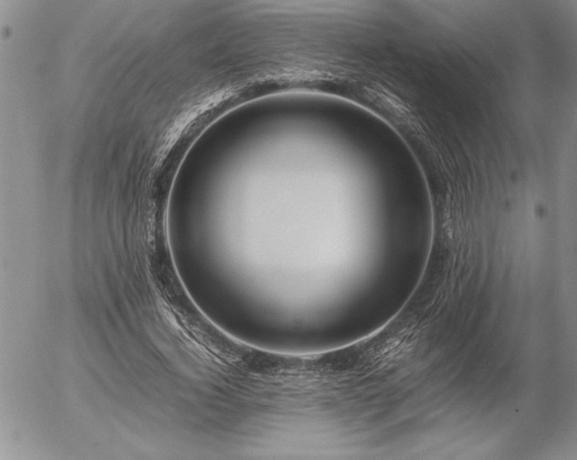 X0000057080732200509091247