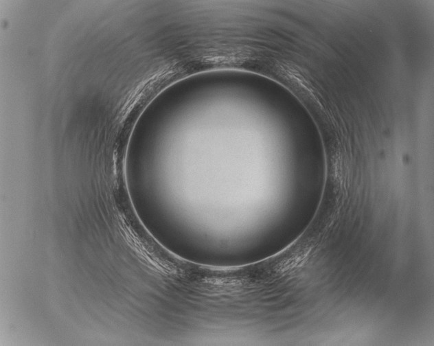 X0000057080733200509091247