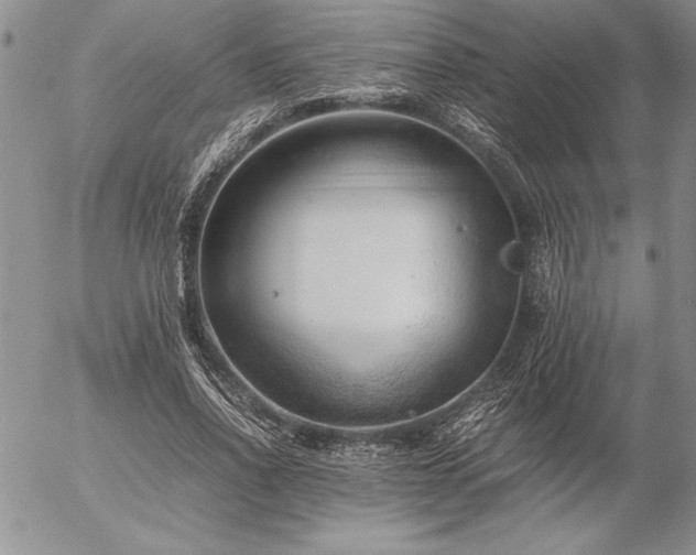 X0000057080734200509091247