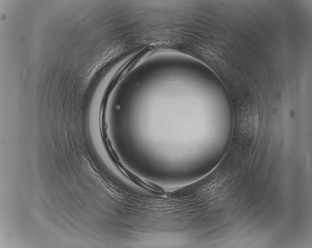 X0000057080735200509091247