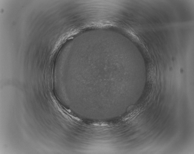 X0000057080736200509091247