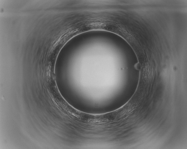 X0000057080739200509091247