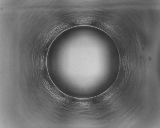 X0000057080741200509091247