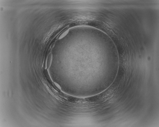 X0000057080742200509091247