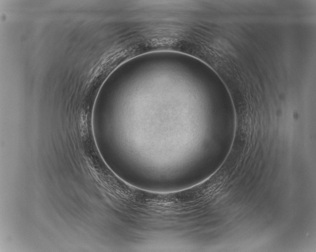 X0000057080743200509091247