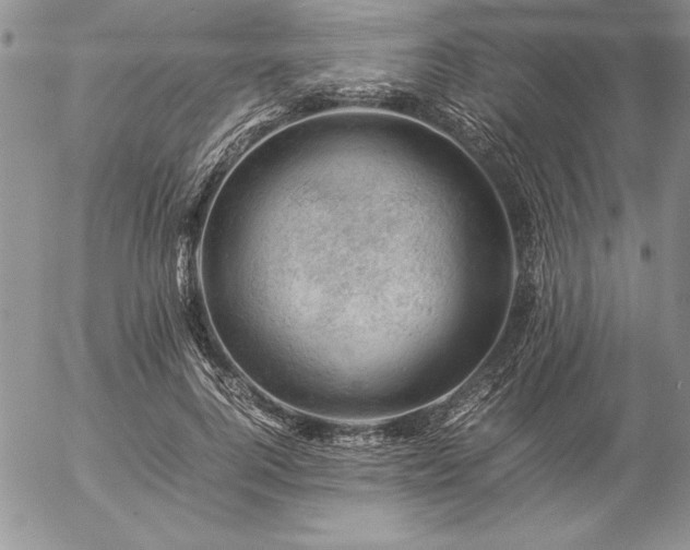 X0000057080744200509091247