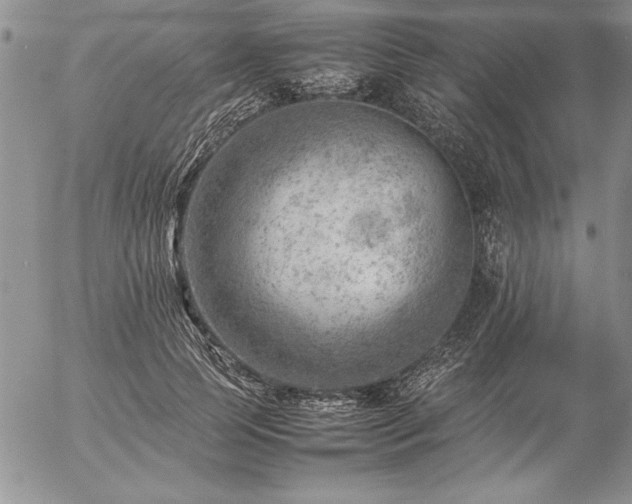 X0000057080745200509091247