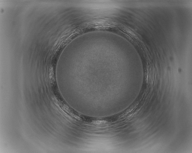 X0000057080748200509091247