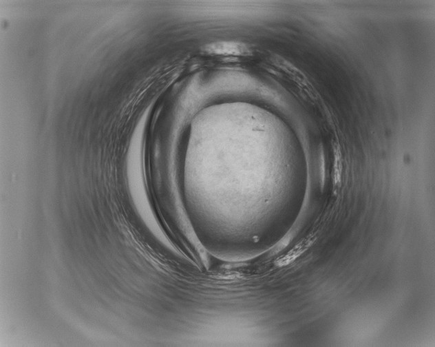 X0000057080750200509091247