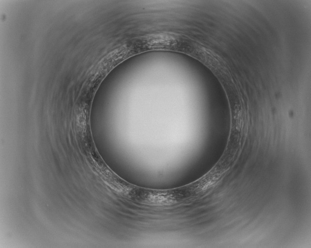 X0000057080753200509091247