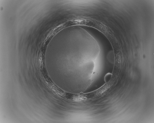 X0000057080754200509091247