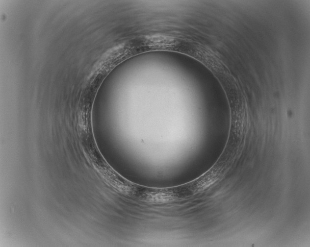 X0000057080755200509091247