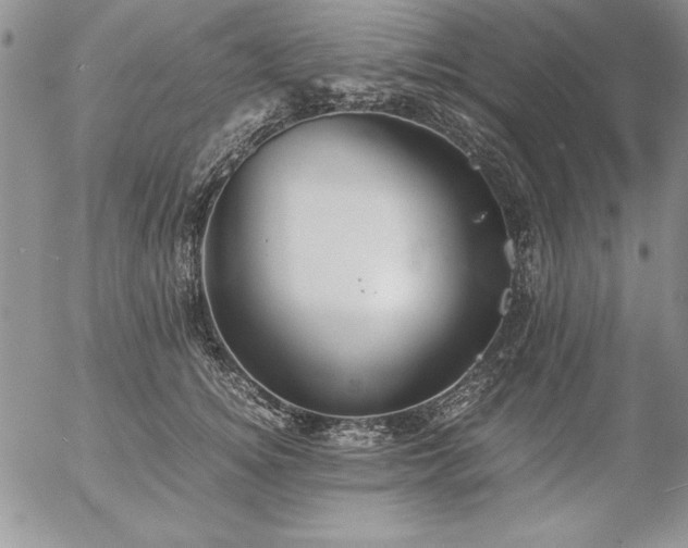 X0000057080756200509091247