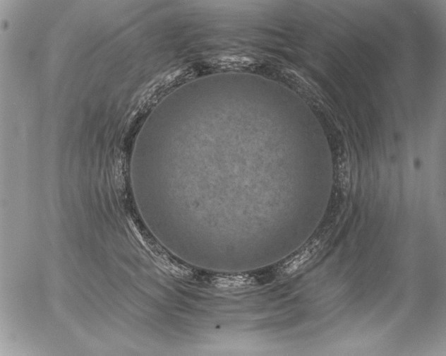 X0000057080757200509091247