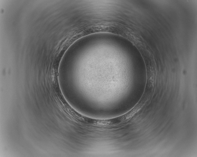 X0000057080758200509091247