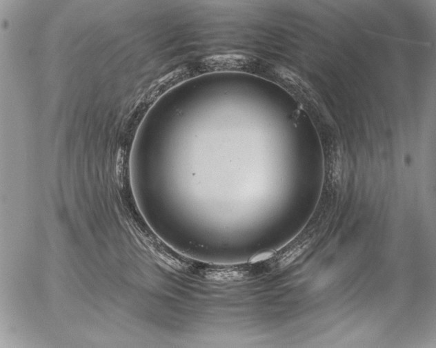 X0000057080759200509091247