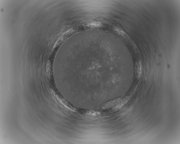 X0000057080760200509091247