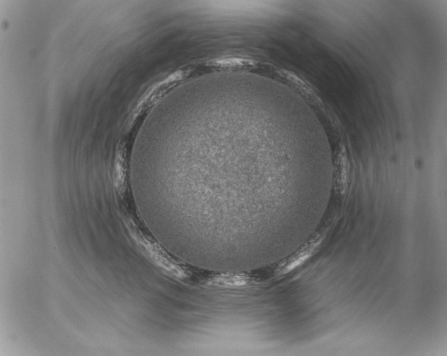 X0000057080762200509091248