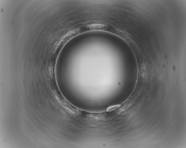 X0000057080763200509091248