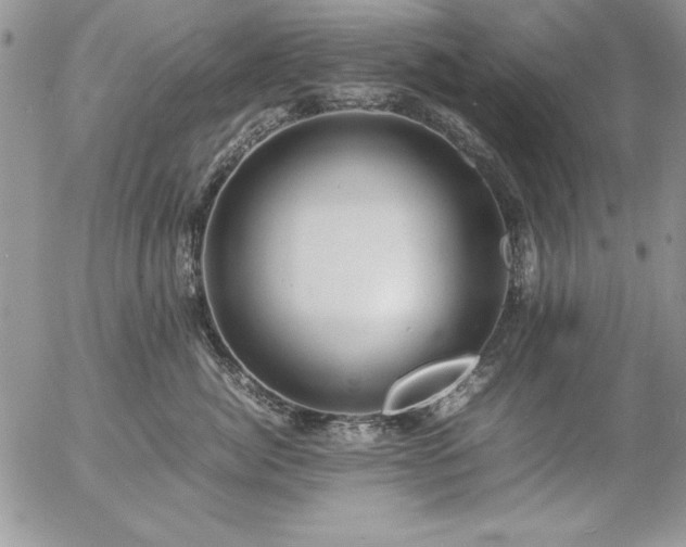 X0000057080764200509091248