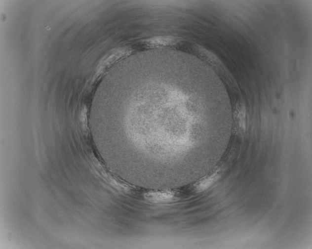 X0000057080765200509091248