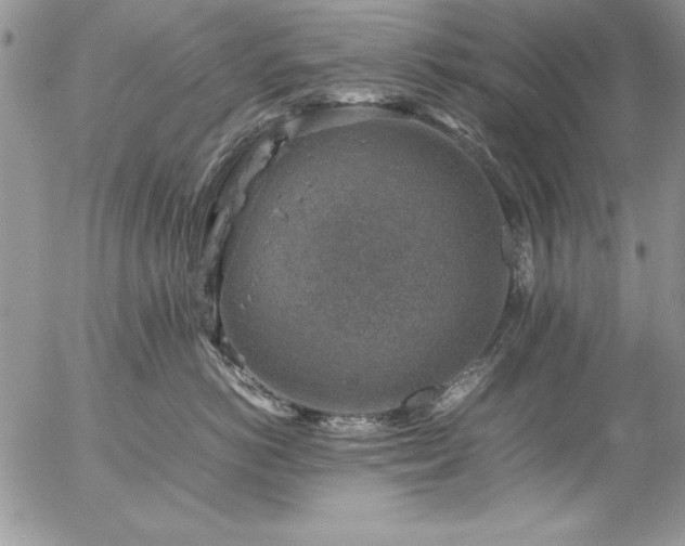 X0000057080766200509091248