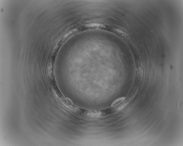 X0000057080767200509091248