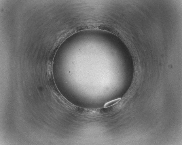 X0000057080768200509091248