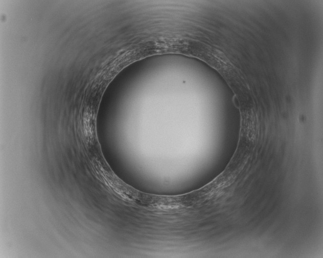 X0000057080770200509091247