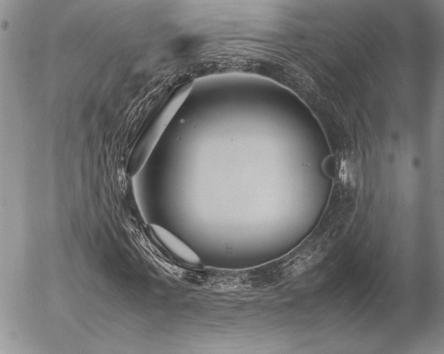 X0000057080771200509091247