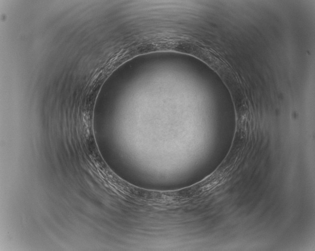 X0000057080772200509091247