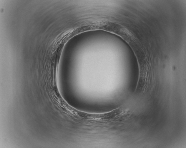 X0000057080773200509091247