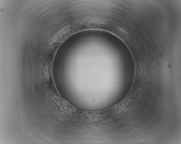 X0000057080774200509091247