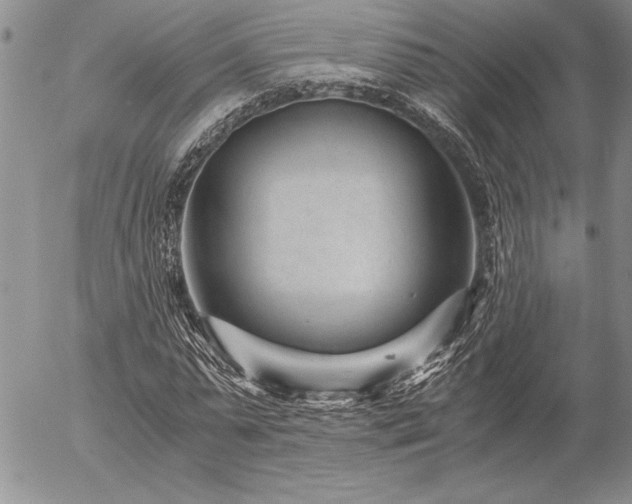 X0000057080775200509091247