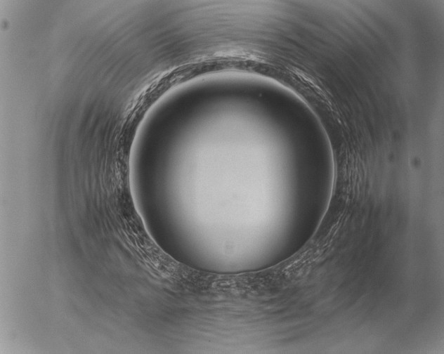 X0000057080776200509091247