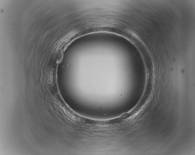 X0000057080777200509091247