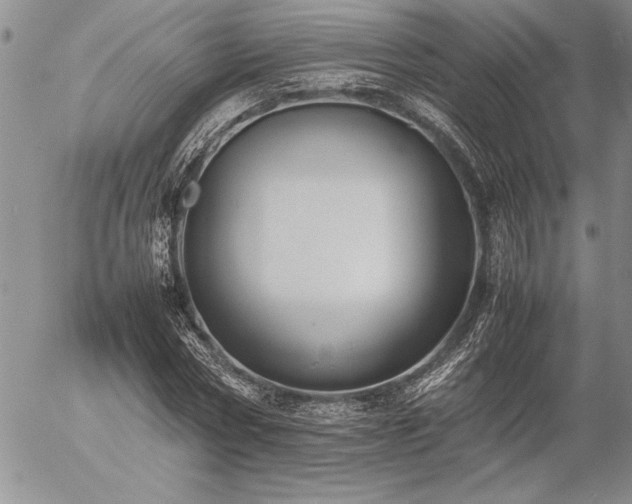 X0000057080778200509091247