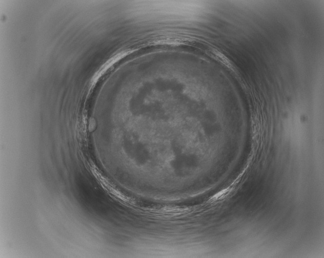 X0000057080779200509091247