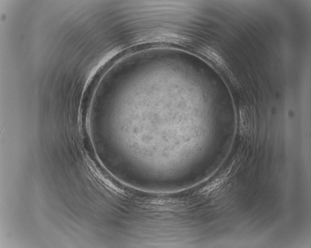 X0000057080780200509091247