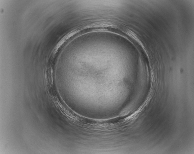 X0000057080781200509091247