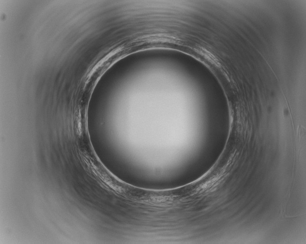 X0000057080782200509091247