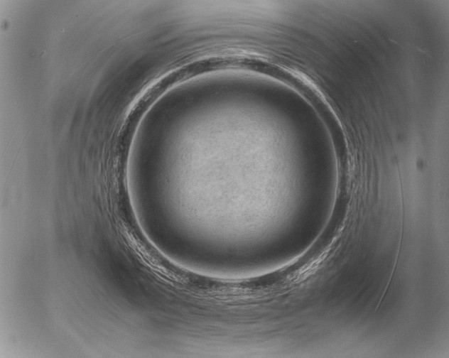 X0000057080783200509091247