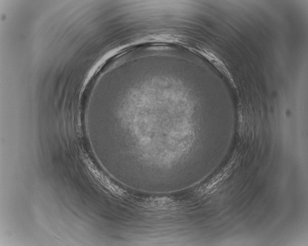 X0000057080784200509091247