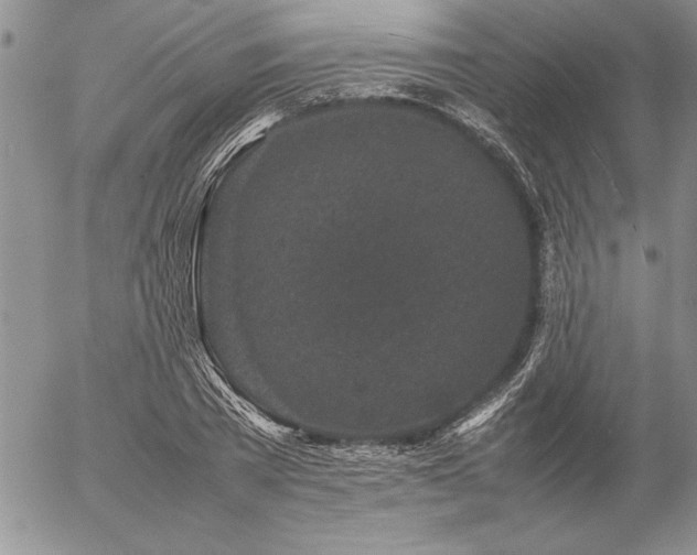 X0000057080785200509091247